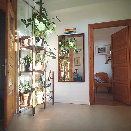 Good Mornings * Клуж-Напока