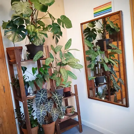 アパート Good Mornings クルージュ＝ナポカ