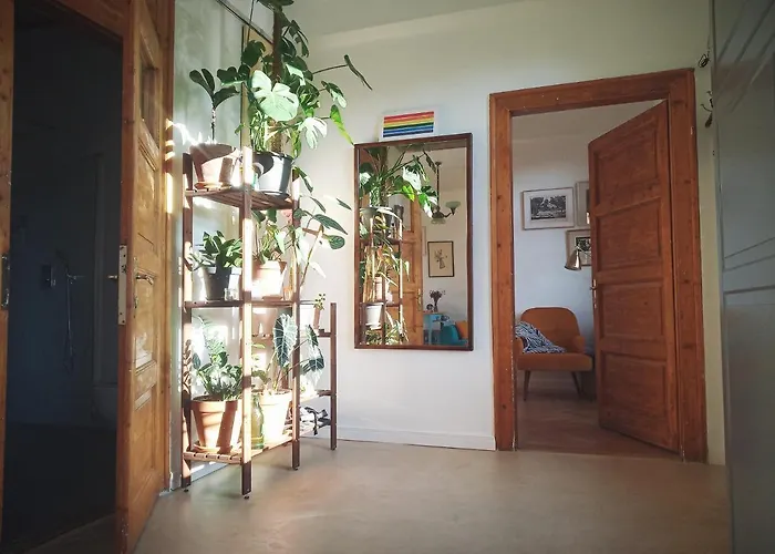 Good Mornings * Kolozsvár