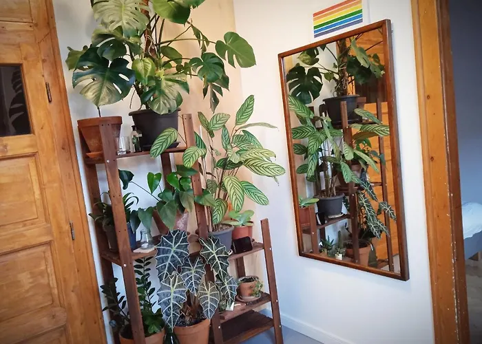 Apartman Good Mornings Kolozsvár